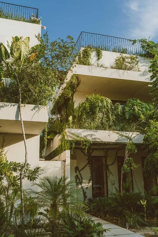 Jashita Tulum Luxury Villas