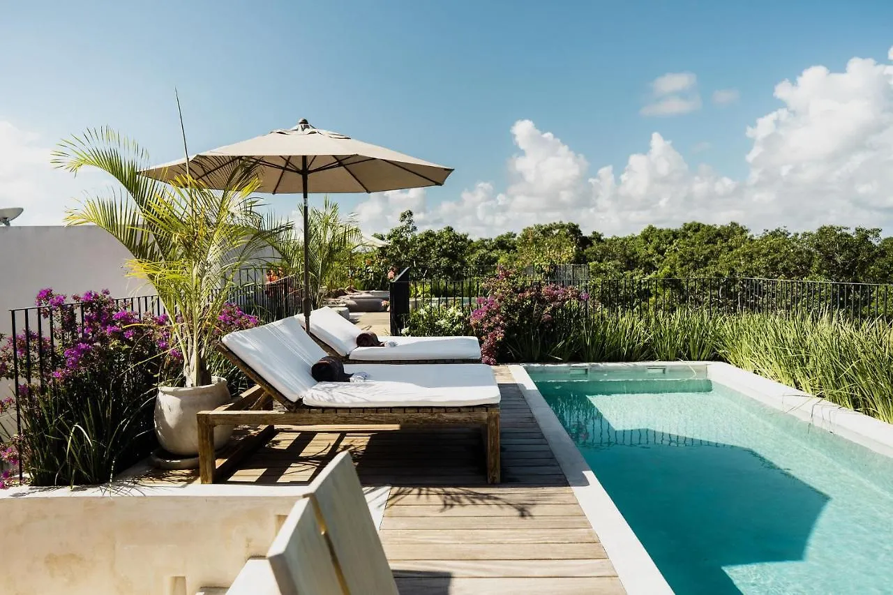 Jashita Tulum Luxury Villas