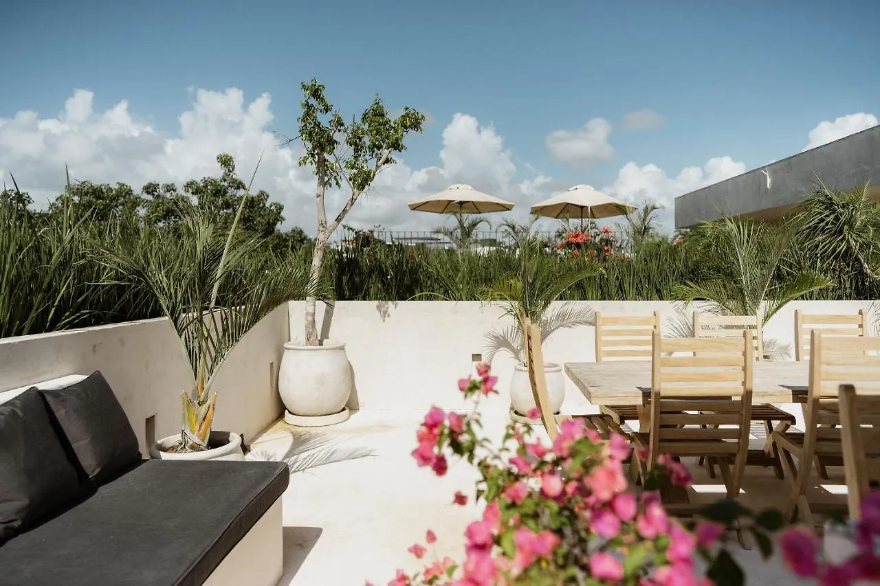 Jashita Tulum Luxury Villas Mexico