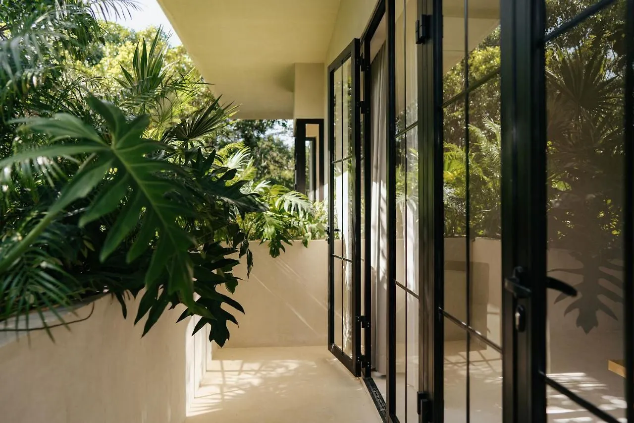 Jashita Tulum Luxury Villas Mexico