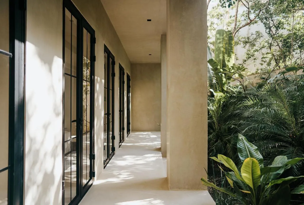 Jashita Tulum Luxury Villas