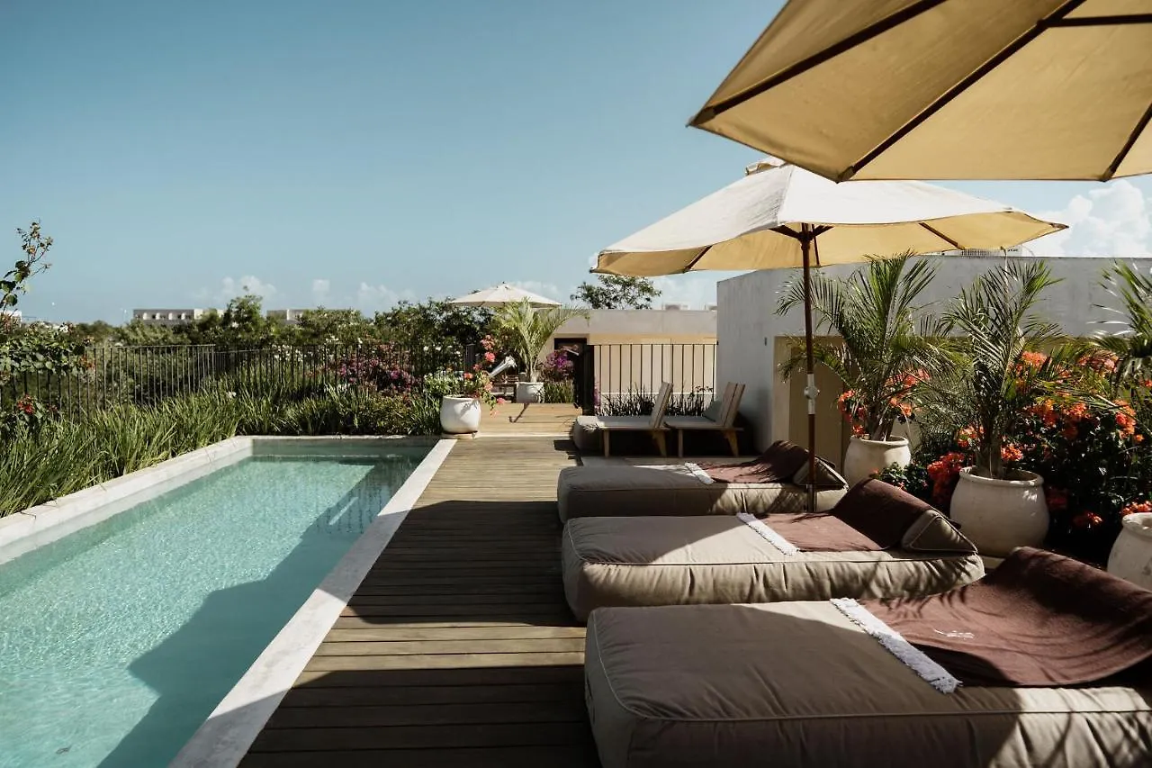 Jashita Tulum Luxury Villas