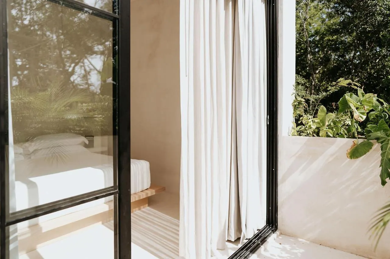 Jashita Tulum Luxury Villas Mexico