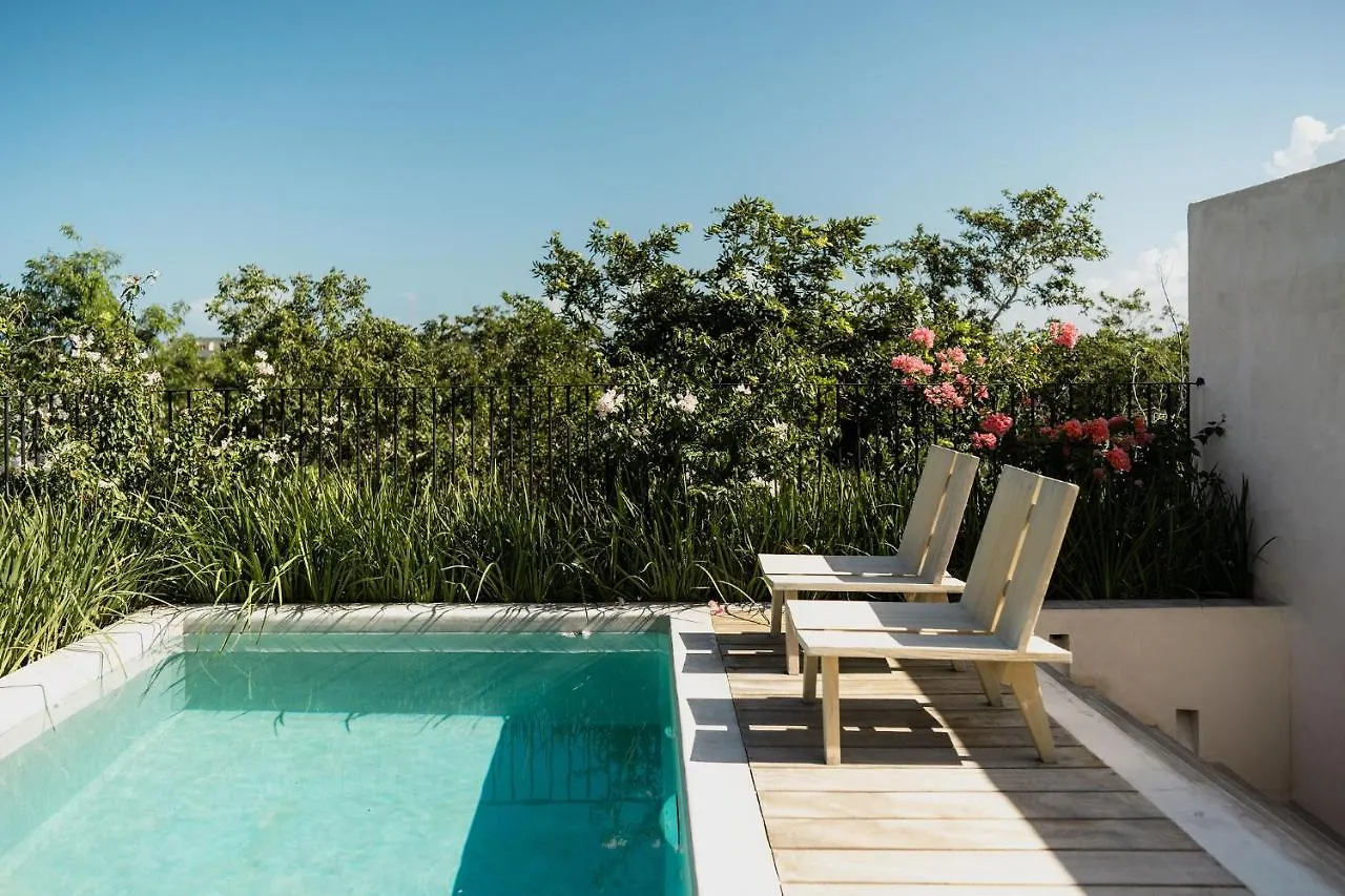 Jashita Tulum Luxury Villas