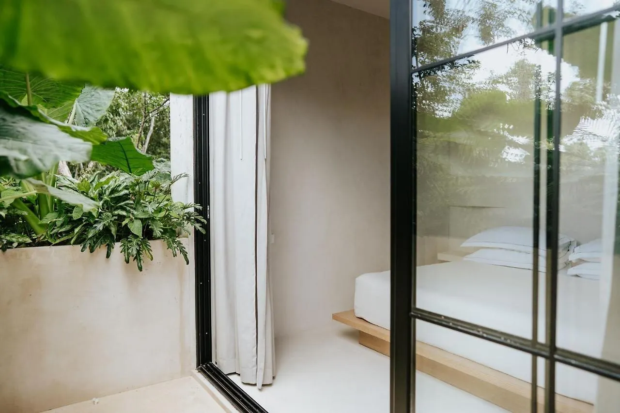 Jashita Tulum Luxury Villas
