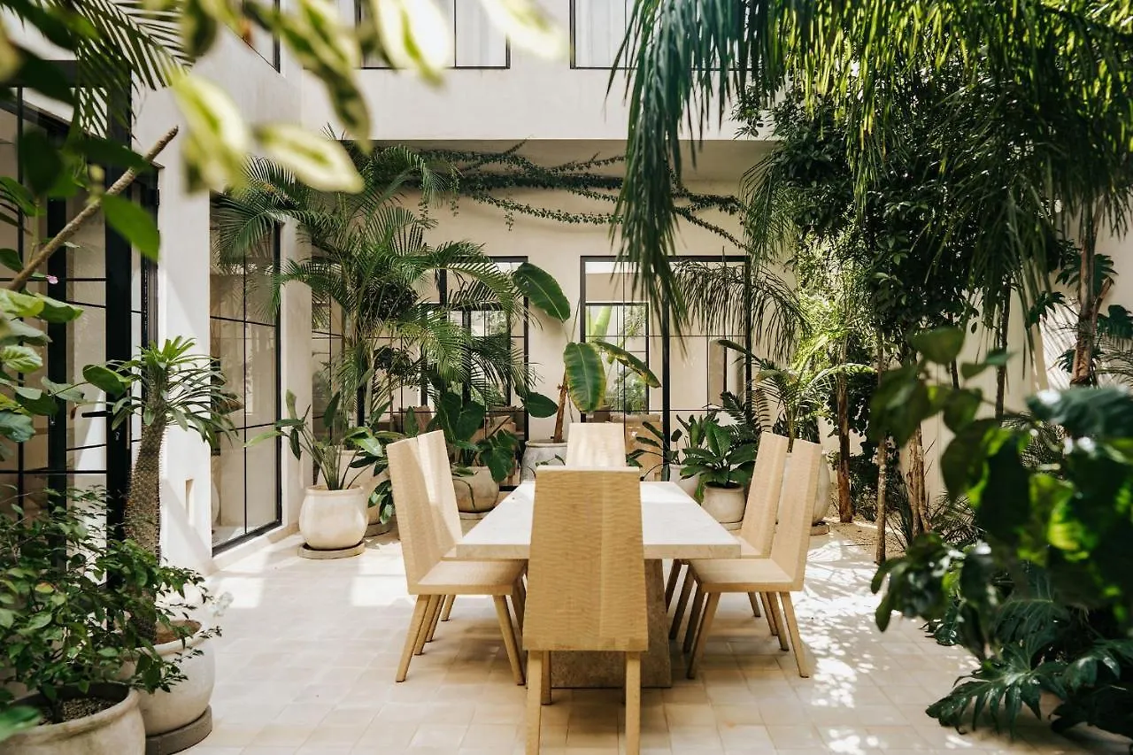 Jashita Tulum Luxury Villas