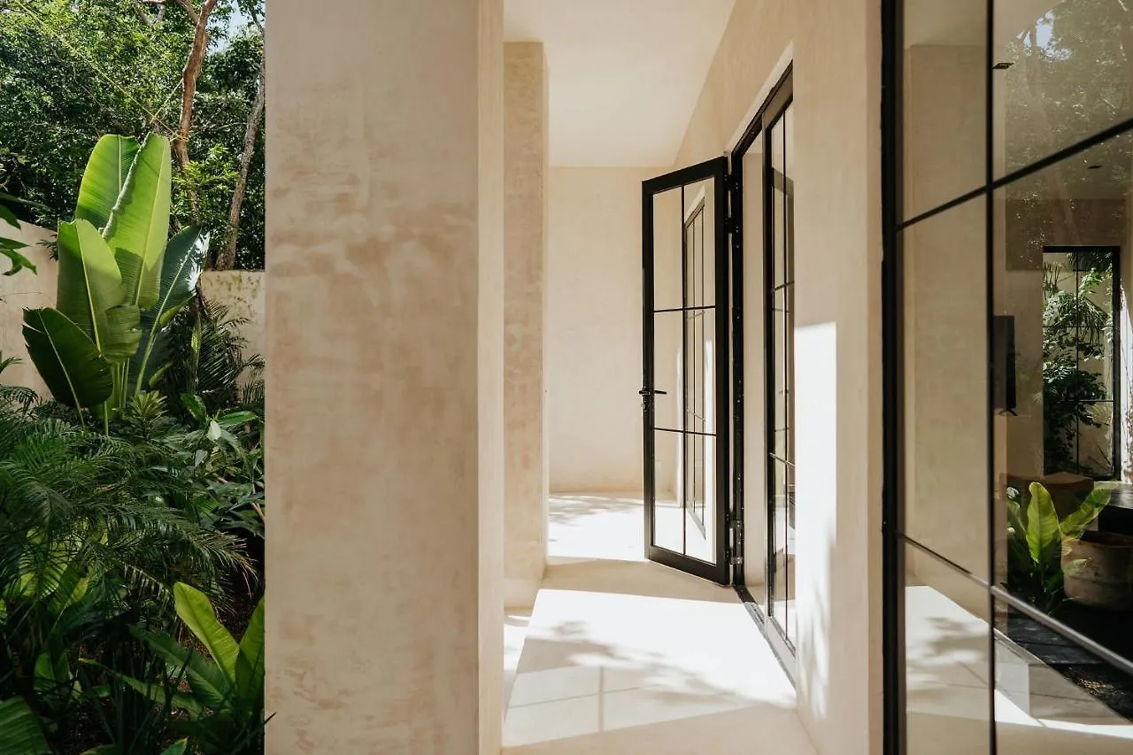 Jashita Tulum Luxury Villas