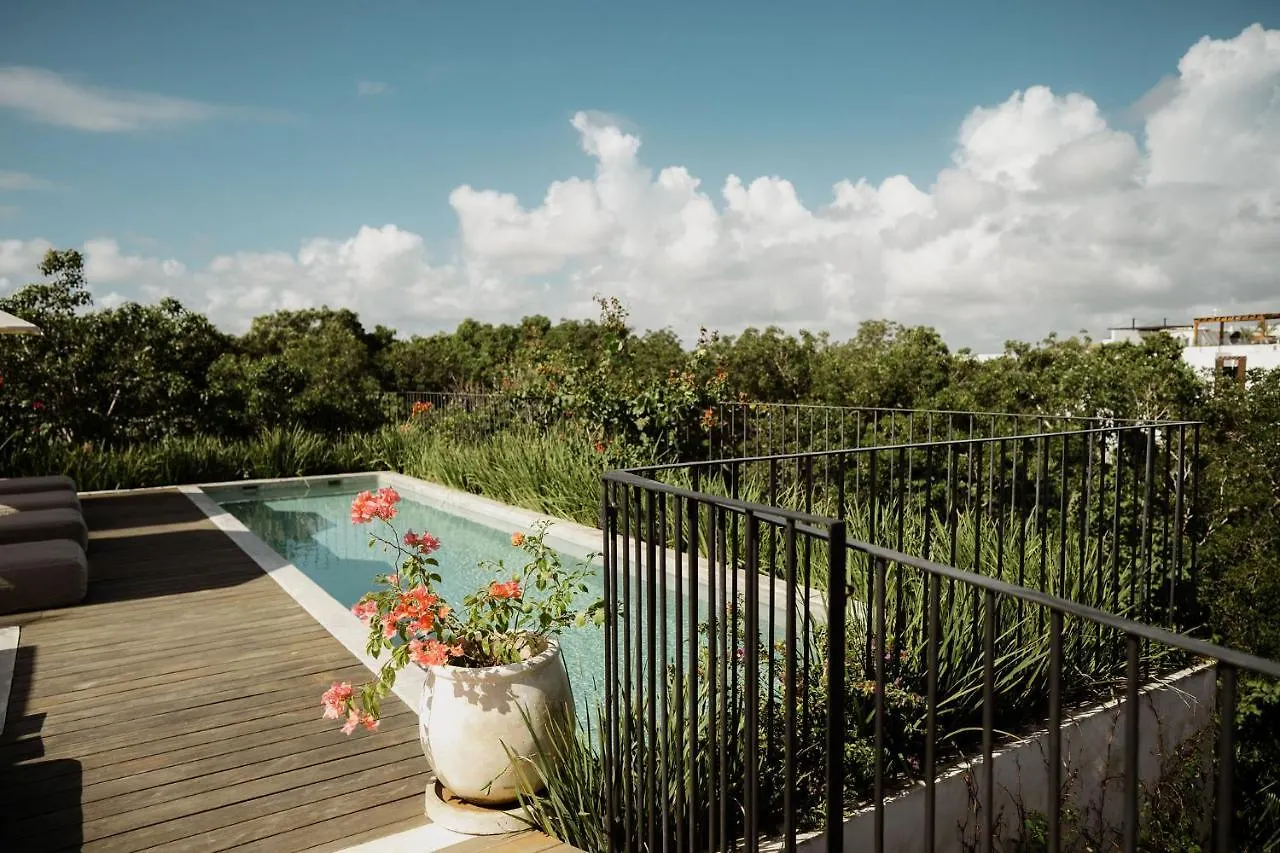 Jashita Tulum Luxury Villas